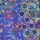 Starlight & Splendor