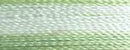 Robison-Anton Rayon 1100 yd spool - 2354 Variegated Kelly