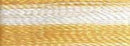 Robison-Anton Rayon 1100 yd spool - 2356 Variegated Yellow