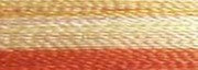 Robison-Anton Rayon 1100 yd spool - 2359 Variegated Orange