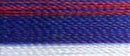 Robison-Anton Rayon 1100 yd spool - 2364 Variegated Flag
