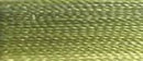Robison-Anton Rayon 1100 yd spool - 2583 Variegated Olive