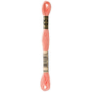 DMC Floss,Size 25, 8.7 yards per skein - 3824 Light Apricot