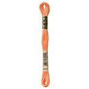 DMC Floss,Size 25, 8.7 yards per skein - 3825 Pale Pumpkin