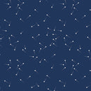 Pin Drop  C615-RILEYNAVY