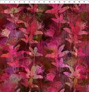 Australian Beauties 3AUB-2