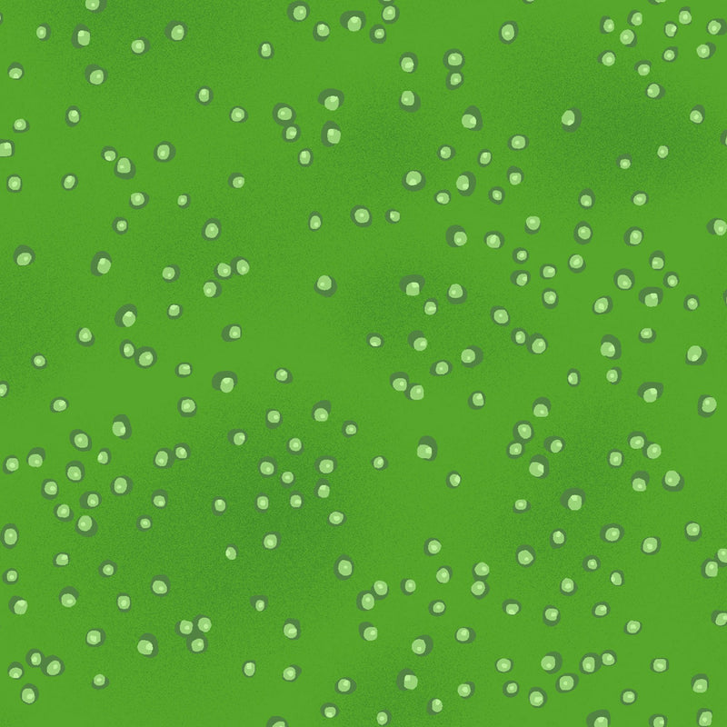 LB Basic Droplet Y2603-21 Green