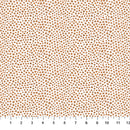 Winter Frost 90327-10 White Stars