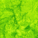 Batik Foundations Basics LEMONGRASS