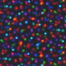 Glow 108" WELXD-20219-2 Black - 0.90m (approx. 35") Remnant