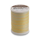 Sulky Blendables 30 wt. 2-ply 500 yd. spool - 4077 Seaside Sun
