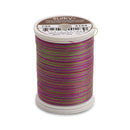 Sulky Blendables 30 wt. 2-ply 500 yd. spool - 4123 Hot Batik