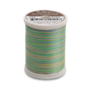 Sulky Blendables 30 wt. 2-ply 500 yd. spool - 4124 Summertime