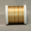 YLI Silk 100 wt - 200 m - 02V