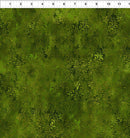 Rainbow of Jewels 3RJ-2 by Jason Yenter for In The Beginning Fabrics