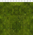 Rainbow of Jewels 3RJ-2 by Jason Yenter for In The Beginning Fabrics