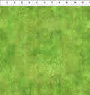Rainbow of Jewels 9RJ-1 by Jason Yenter for In The Beginning Fabrics