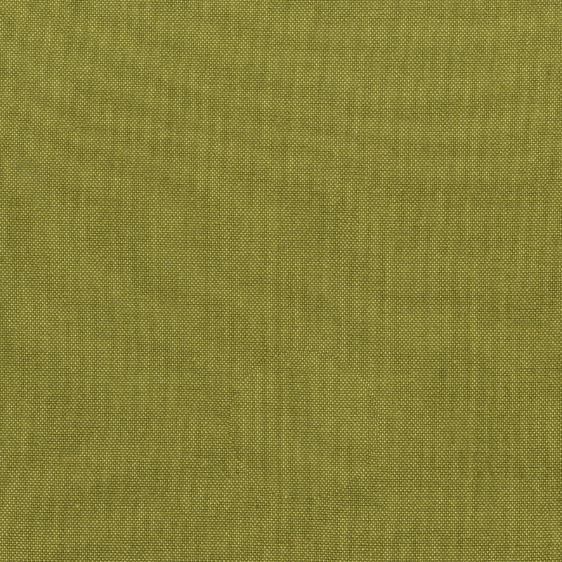 Artisan Cotton 40171-57 Olive/Lt. Olive by Another Point of View for Windham Fabrics