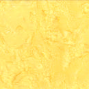 Bali Hand-Dyed Watercolor - 1895 199 Blonde Ale; Trend-Tex