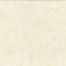 Bali Hand-Dyed Watercolor 1895-265 Oyster by Hoffman Fabrics