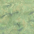 Bali Hand-Dyed Watercolor 1895-548 Balsam by Hoffman Fabrics