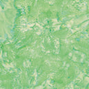 Bali Hand-Dyed Watercolor - 1895 554 Treetop; Trend-Tex