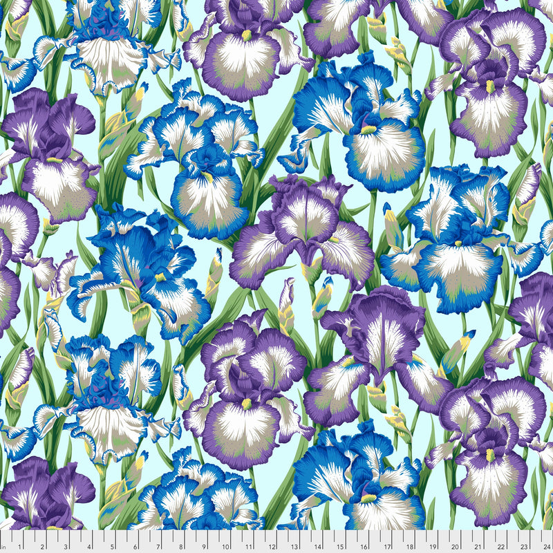Bearded Iris PWPJ105.COOL by Philip Jacobs for Free Spirit