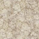 Bliss Basics DP23887-13 Oasis Truffle by Northcott Studio for Northcott