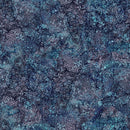 Bliss Basics DP23887-48 Oasis Twilight by Northcott Studio for Northcott