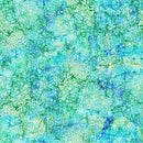 Bliss Basics DP23887-63 Oasis Caribbean by Northcott Studio for Northcott