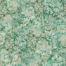 Bliss Basics DP23887-72 Oasis Woodland Moss by Northcott Studio for Northcott