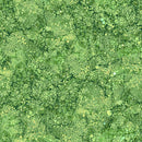 Bliss Basics DP23887-76 Oasis Rainforest by Northcott Studio for Northcott