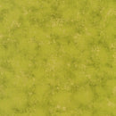 Bounty of the Season AHYM-19837-46 Pear Hyun Joo Lee for Robert Kaufman