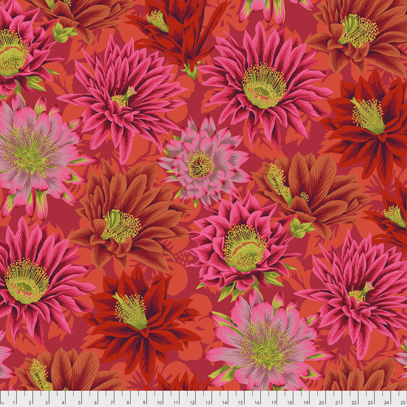 Cactus Flower PWPJ096.RED by Philip Jacobs for Free Spirit