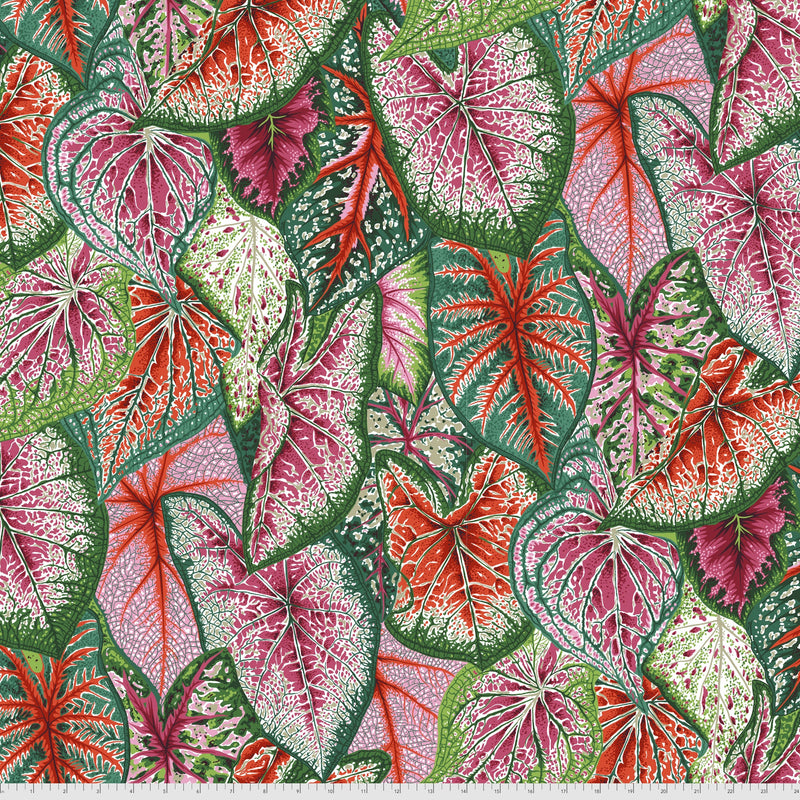 Caladiums PWPJ108.BRIGHT Philip Jacobs Kaffe Fassett Collective Free Spirit