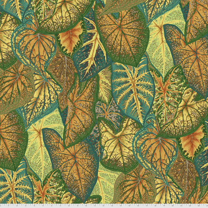 Caladiums PWPJ108.GOLD Philip jacobs Kaffe Fassett Collective Free Spirit