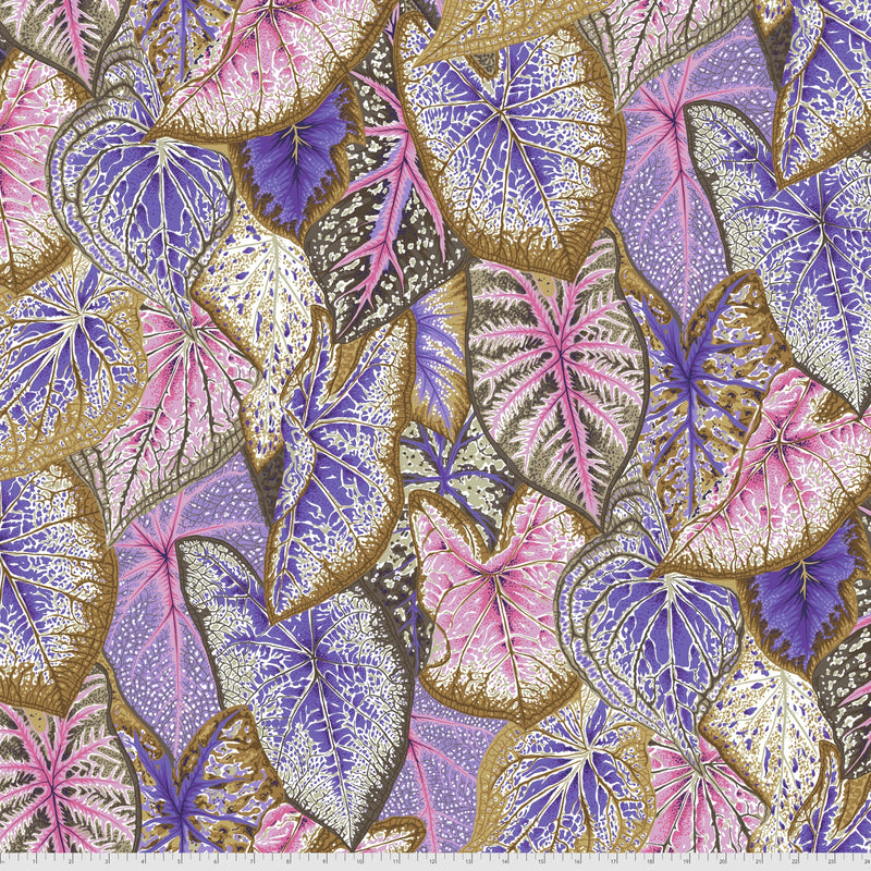 Caladiums PWPJ108.PASTEL Philip Jacobs Kaffe Fassett Collective Free Spirit