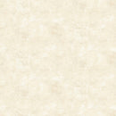 Canvas 9030-11 French Vanilla by Deborah Edwards for Northcott