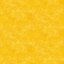Canvas 9030-530 Sunglow by Deborah Edwards for Northcott