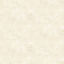 Canvas Flannel F9030-11 French Vanilla Deborah Edwards for Northcott