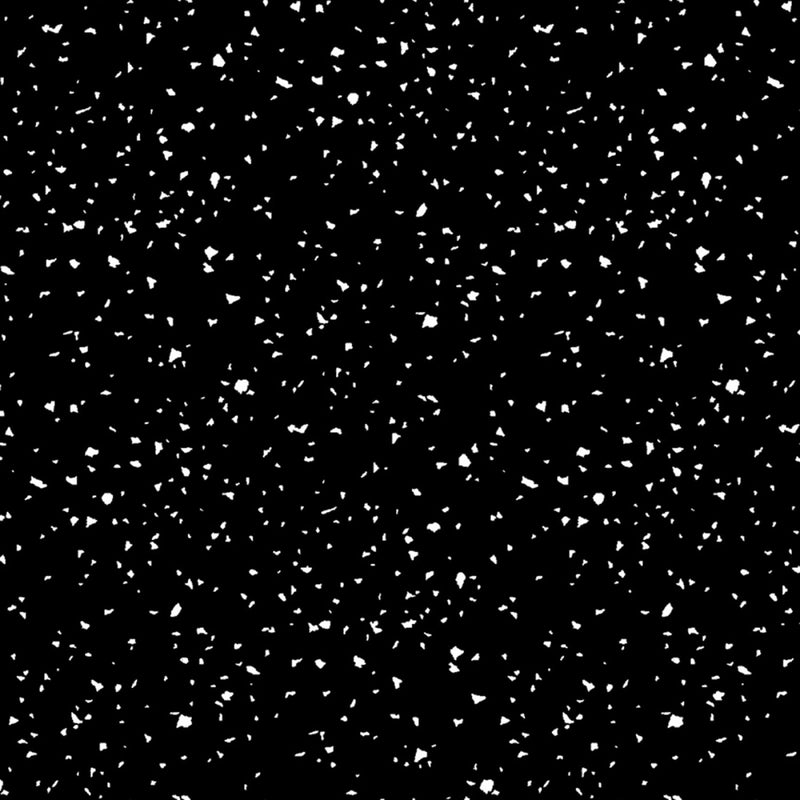 Confetti RJ1410-WB5 White on Black RJR Fabrics