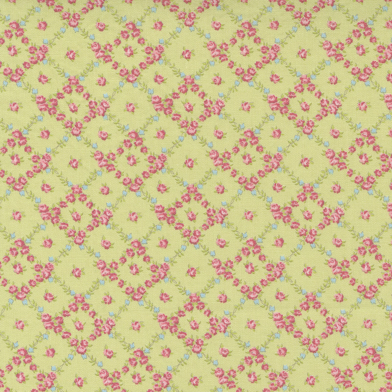 Cottage Linen Closet 18732-14 Sprout by Brenda Riddle for Moda