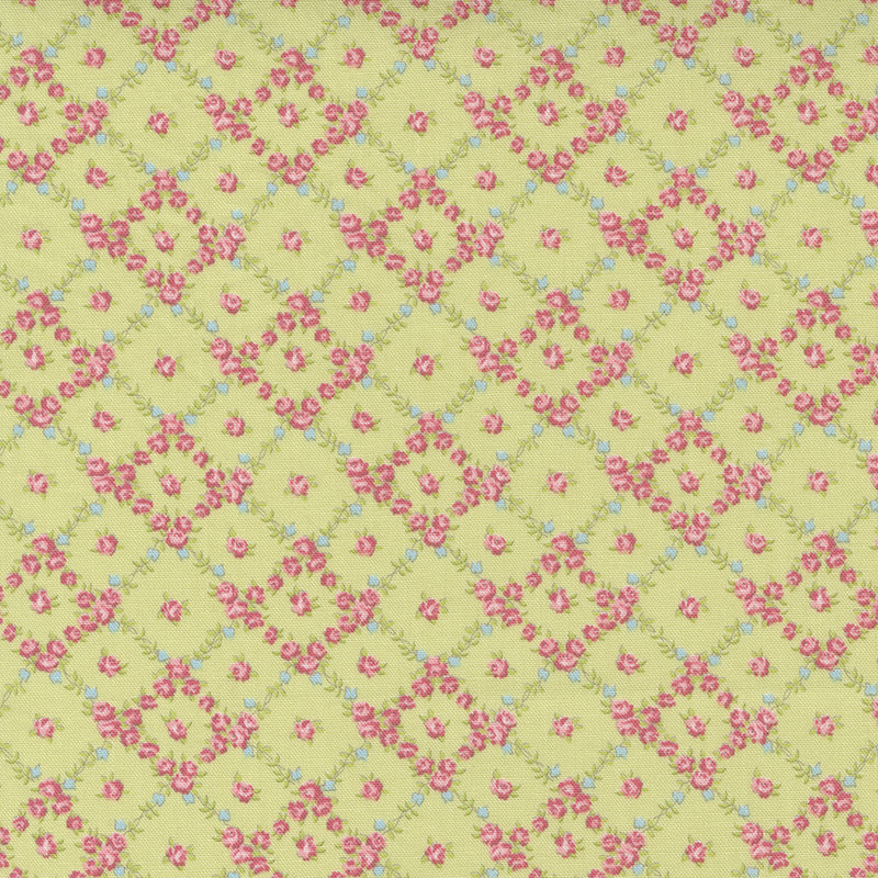 Cottage Linen Closet 18732-14 Sprout by Brenda Riddle for Moda