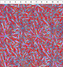 Dazzle 3JYP-1 Red by Jason Yenter for In The Beginning Fabrics