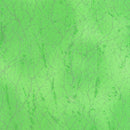 Diamond Dust 51394-19 Mint by Windham Fabrics