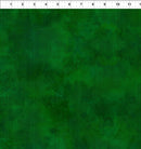 Dit Dot Evolution 1DDE-25 Amazon by Jason Yenter for In The Beginning Fabrics