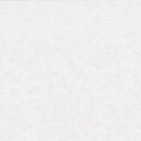 Fairy Frost CM0376-SNOW-D by Michael Miller Fabrics