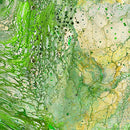 Fusion II 28291-G Green Surge Quilting Treasures Ocllo Mason