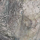 Fusion II 28291-K Grey Surge Quilting Treasures Ocllo Mason