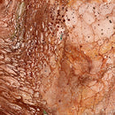 Fusion II 28291-T Rust Surge Quilting Treasures Ocllo Mason